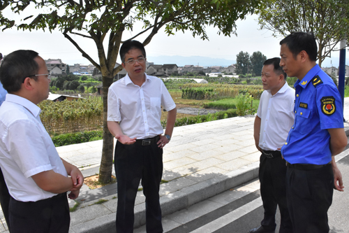 了解大盛龙泊湾项目现场管理在城中佳慧超市调研