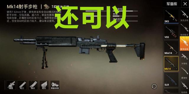 若被满编队围攻,菜鸡疯选大菠萝和狗杂,大神直言选它直接无敌_刚枪