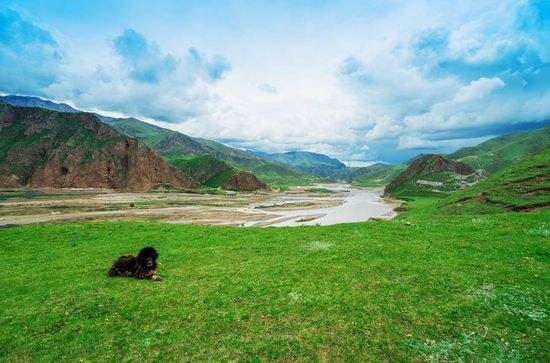 生态称多嘉塘草原上最美的风景