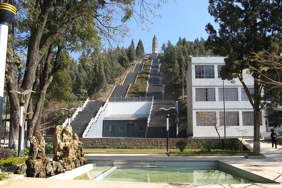 招生今年报考弥渡一中这些事项须了解