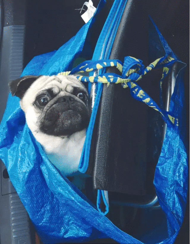 639_820竖版 竖屏gif 动态图 动图