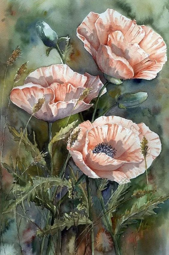 灵动的水彩花卉,还有大师的教程哦!