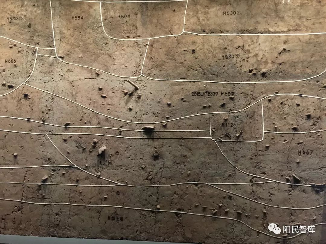 阳民拍摄漯河灵魂许慎先生及舞阳贾湖遗址提前文明千年