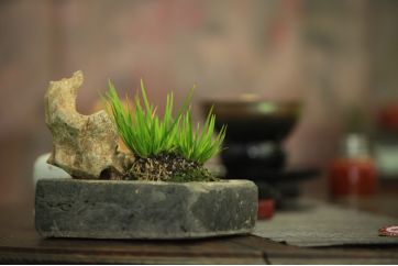 茶席布置:在烦扰的生活中品一缕茶香_设计