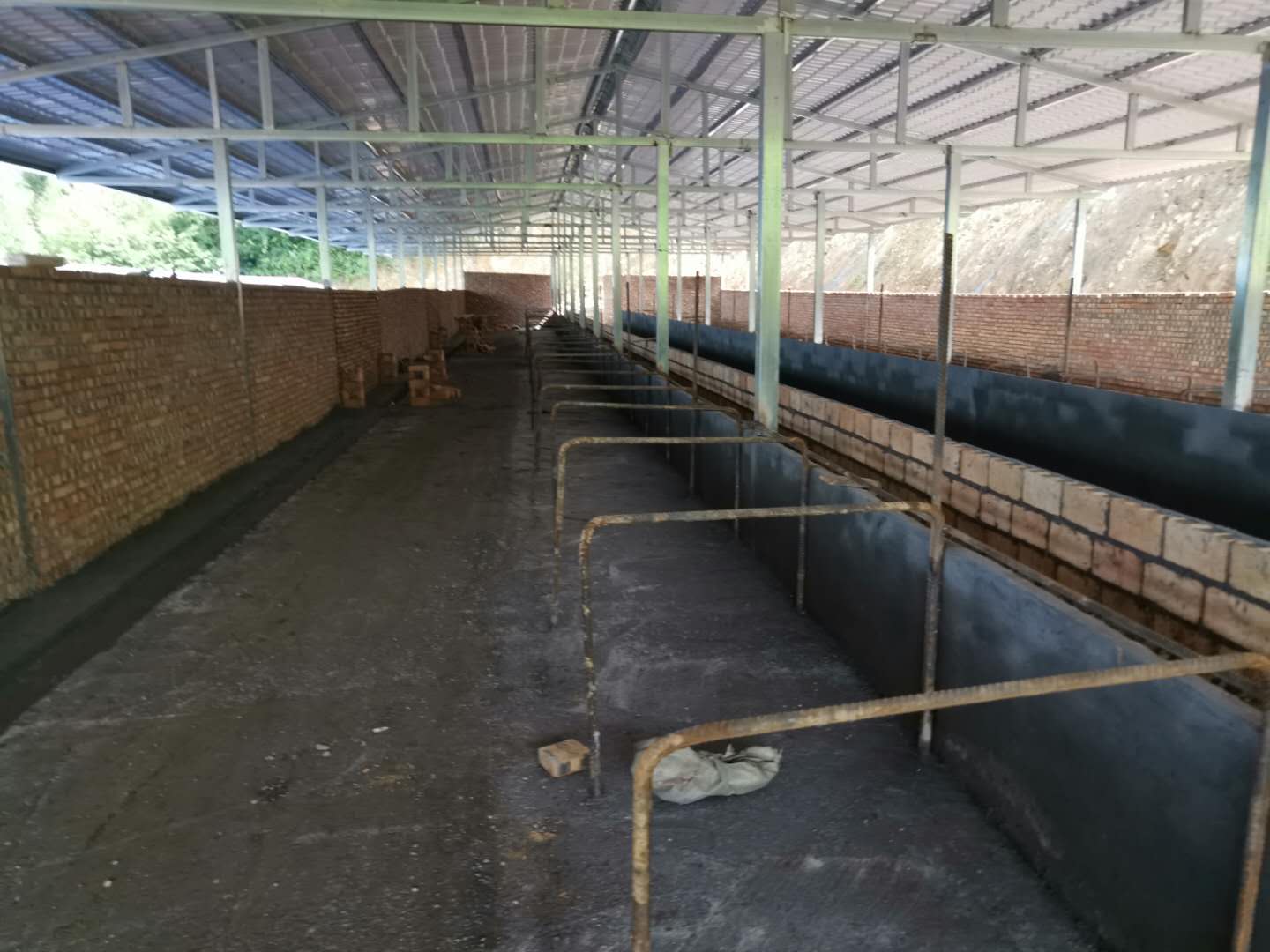 促进绥江县产业发展,7月1日,县人民政府黄斌副县长到中坝村调研肉牛