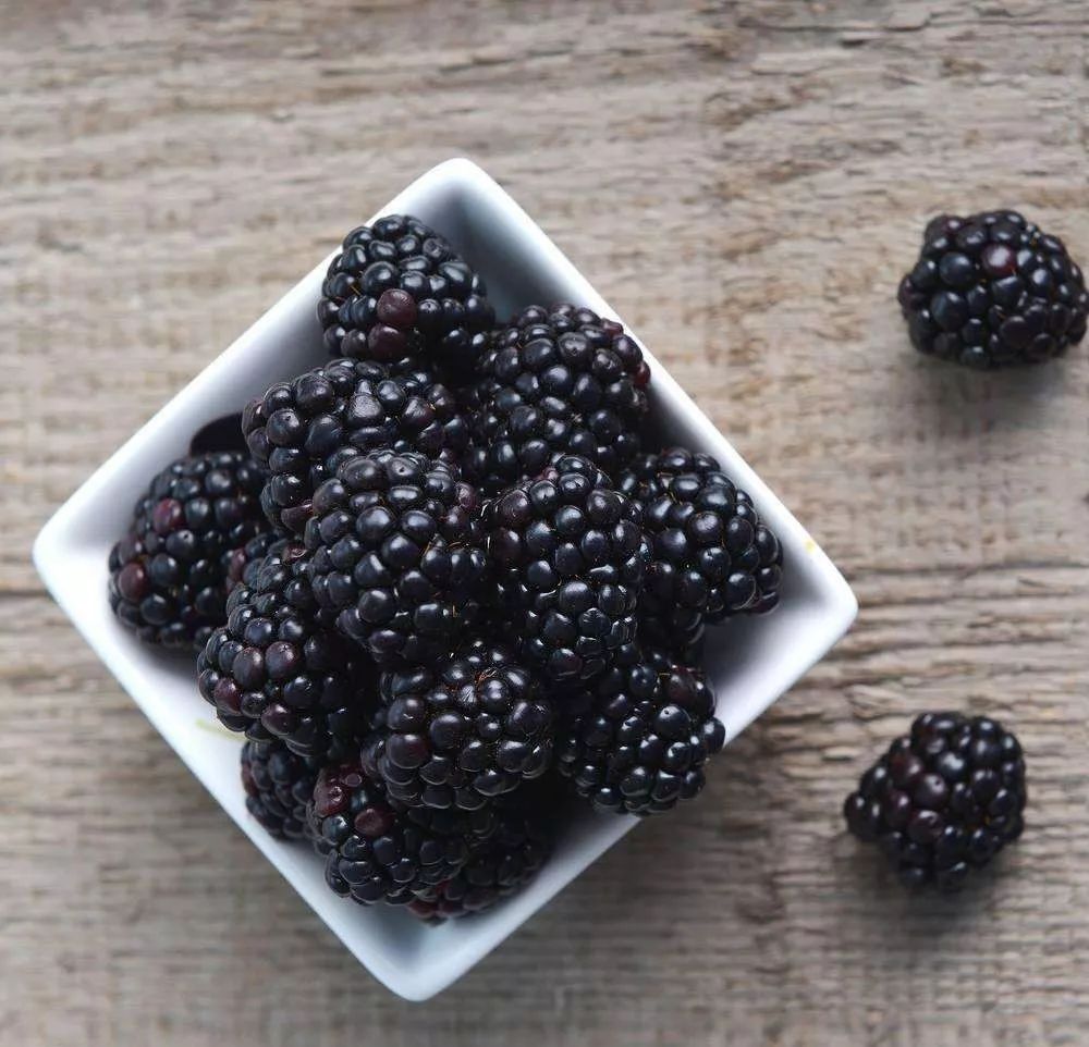 如条件允许,不妨来到基地,尝一口刚采摘下的新鲜黑莓,味道自然更鲜美.