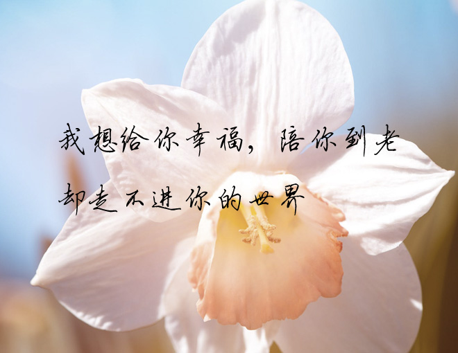 有一种遇见叫情深缘浅,有一种在乎叫胡思乱想
