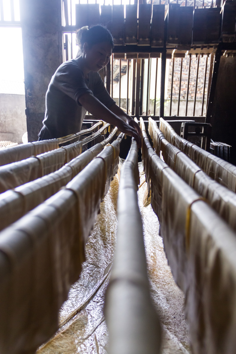 图虫人文摄影:牛皮豆腐干制作