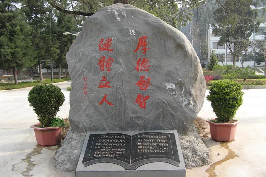 招生今年报考弥渡一中这些事项须了解