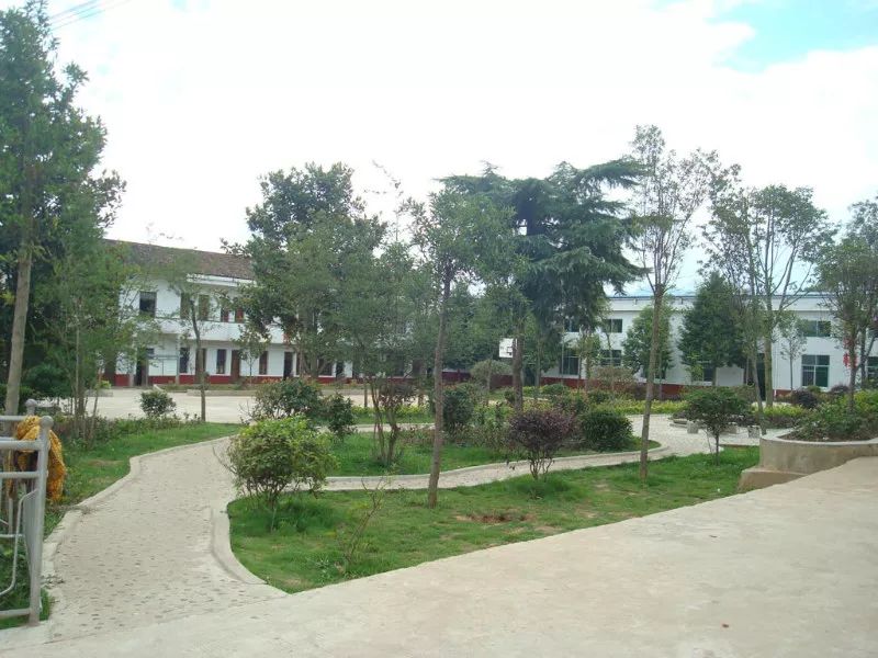 我在攸县大桥的初中生活