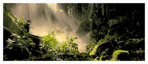 海口惊现动物管理局土拨鼠蜜袋鼯迷你刺猬45种活生生的动物集体现形