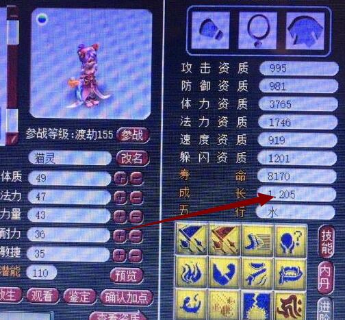 梦幻西游这人形猫灵cbg无货12个技能格子注定成为土豪藏品