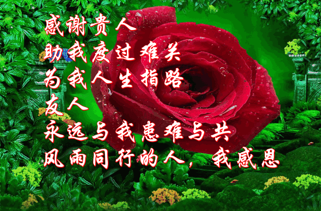 感恩一路有您,希望相伴到底!
