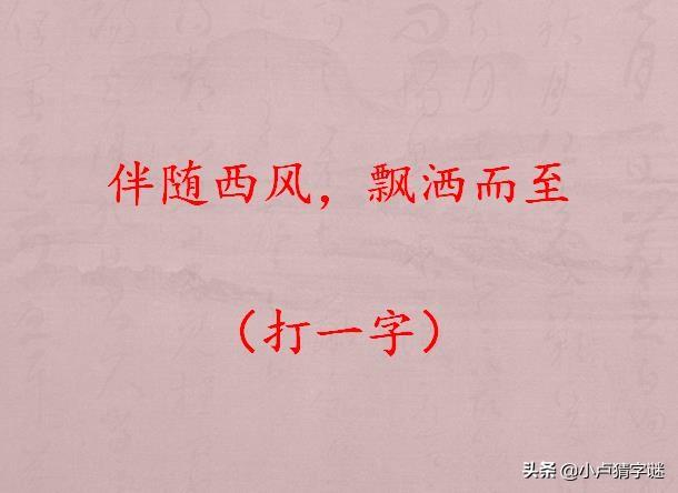 稻谷万顷打一字谜(稻谷万顷打一字谜是什么)