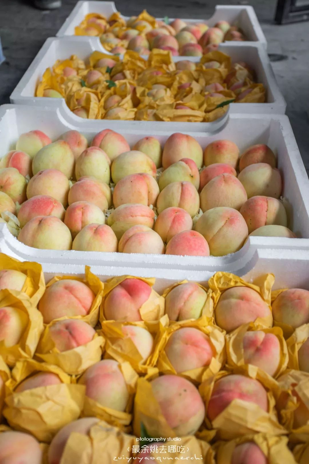 这几天余姚人都跑去这个1000多亩超大果园n种新鲜当季水果边摘边吃