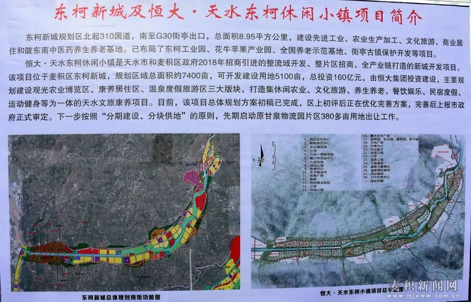 麦积新城规划图图片