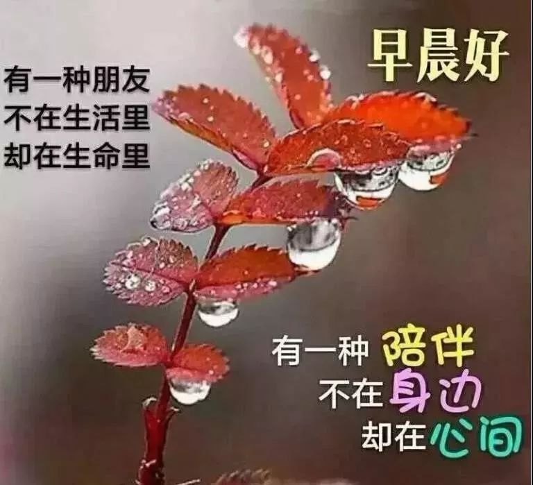 新的一月微信早上好動態圖片大全