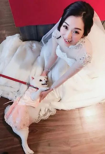 因为一句约定,狗狗三度病危都强撑过来,连医生也惊叹奇迹!_周瑞琪