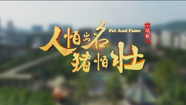 人怕出名猪怕壮沈学文刚和周主任达成一致沈一金就告法院了