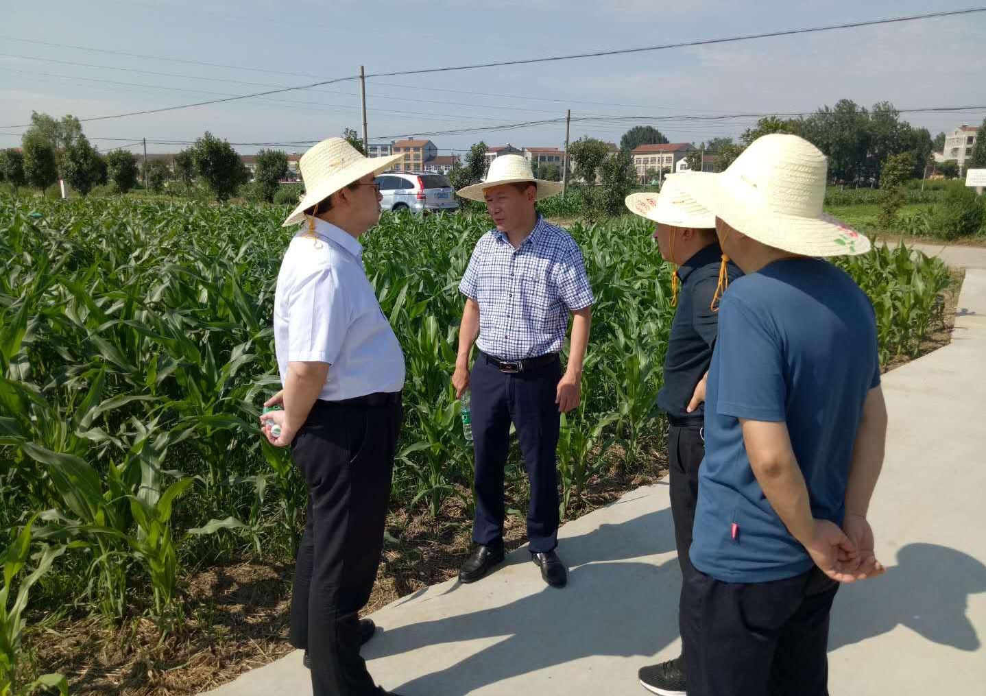 区长武义泉参加现场会