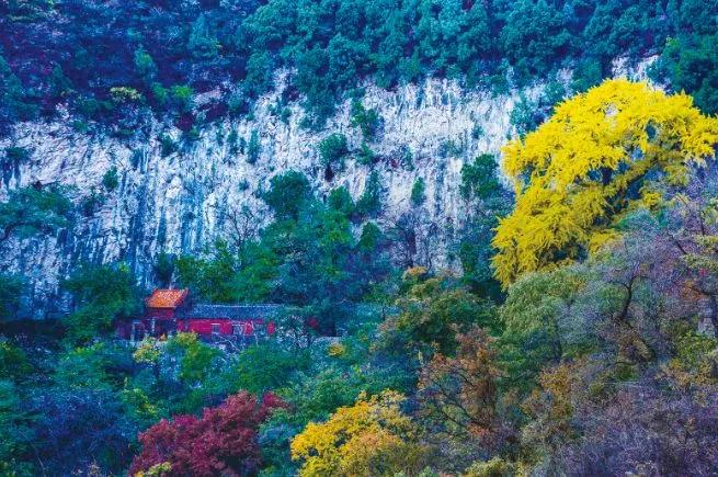 燃燒你的卡路里淄博那些適合登山的好去處