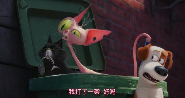 养猫还是养狗?别天真了,答案是兔子!_麦克