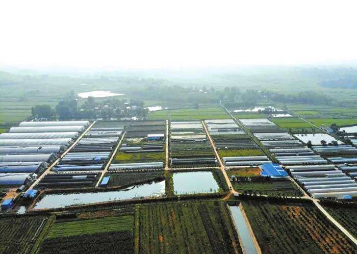 蔡河镇加快繁荣幸福生态文明四新蔡河建设