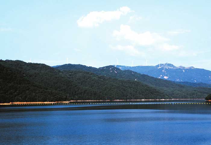 蔡河镇加快繁荣幸福生态文明四新蔡河建设