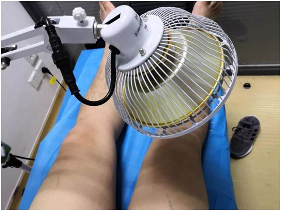 枣生桂子不止是吉祥话还真对男性生殖健康有好处