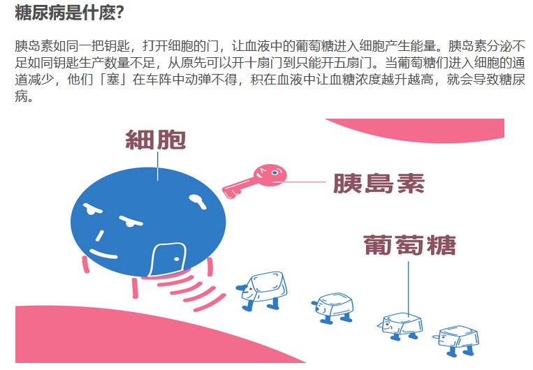 糖尿病的起因 来自搜狐网