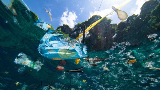 原創西班牙海洋垃圾57是衣服纖維微小塑料才是海洋生物的天敵