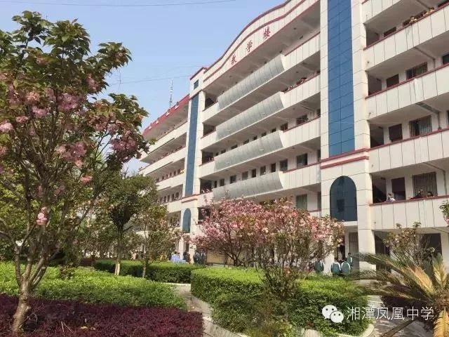 凤鸣朝阳湘潭凤凰中学
