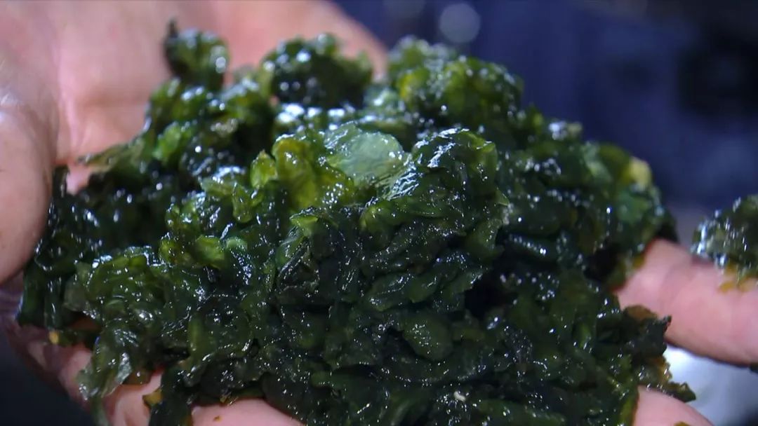 小新说吃嘉兴滋味地衣炒鸡蛋