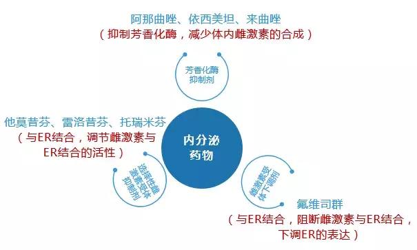 如何使用他莫昔芬进行乳腺癌内分泌治疗