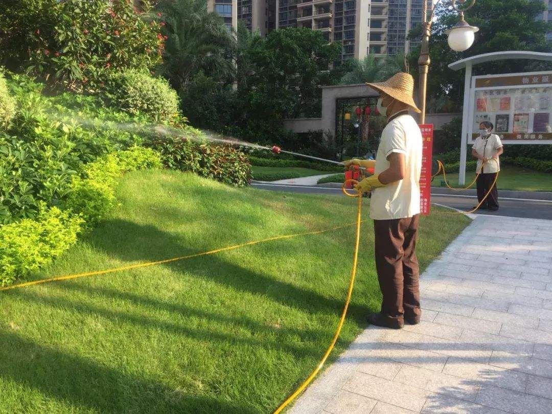 青青草原做一个合格的羊村守护者物业资讯