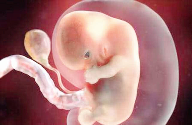 小生命究竟是怎么诞生出来的,"进球"前后的场景,别不好意思看