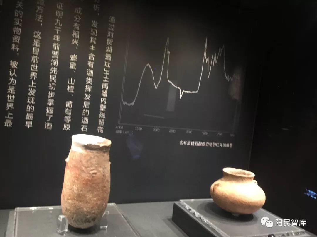 阳民拍摄漯河灵魂许慎先生及舞阳贾湖遗址提前文明千年