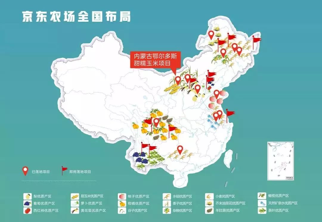 京东在死亡之海种甜玉米没有对比就没有伤害美国的无土栽培技术如此