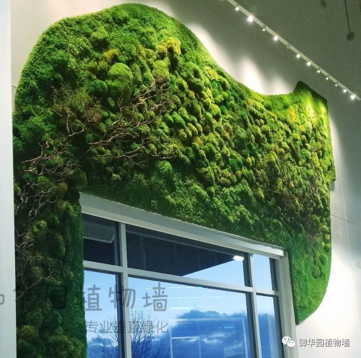 异形植物墙服务于个性化空间审美