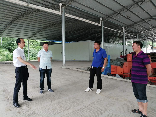 副县长宋邦达到寨乐镇调研产业扶贫工作