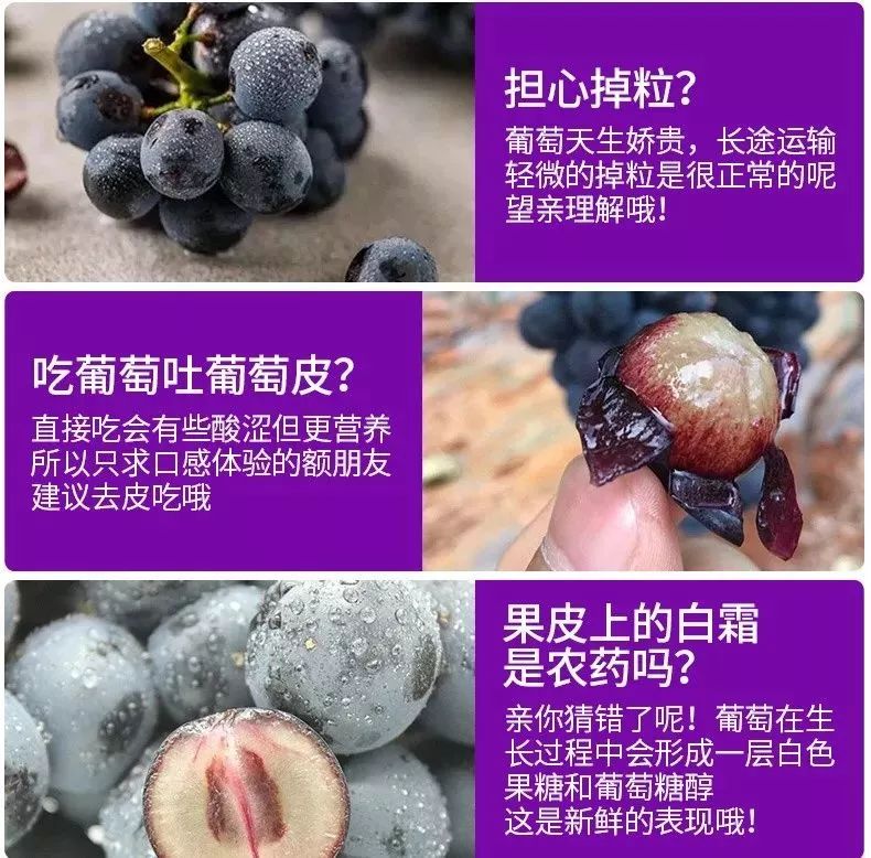 爆料河源这一大片葡萄林99元一斤开园大钜惠赶紧约起来
