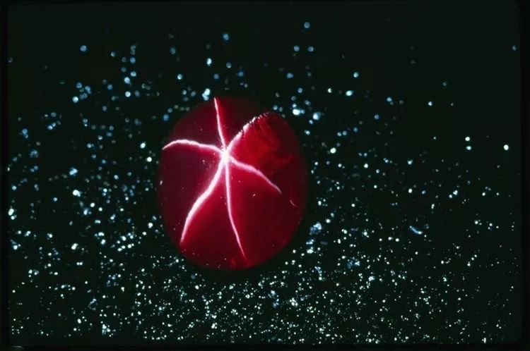 深扒那些不简单的红宝石