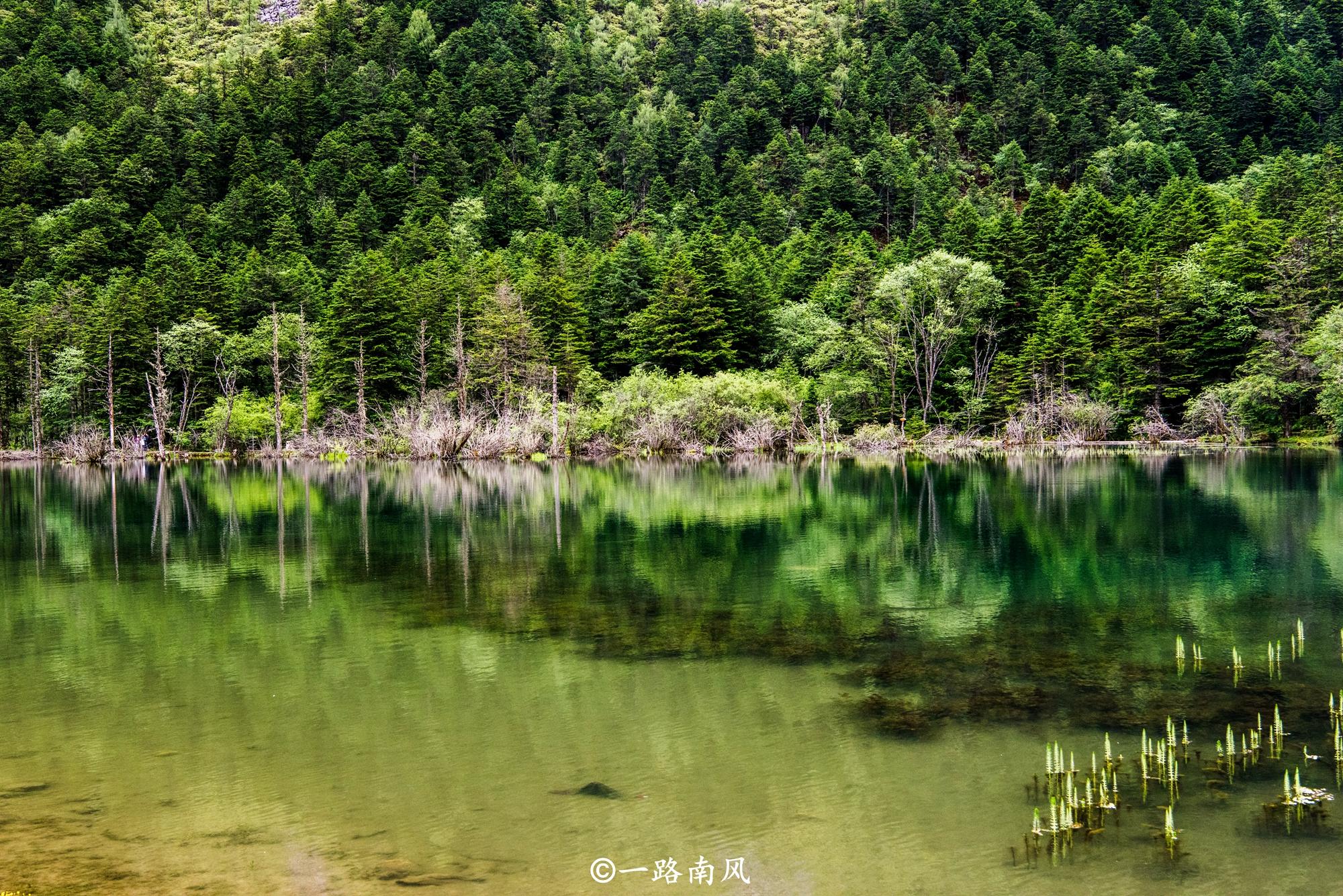 水木相依山連天,忘途歸路不覺日暮.67返回搜狐,查看更多