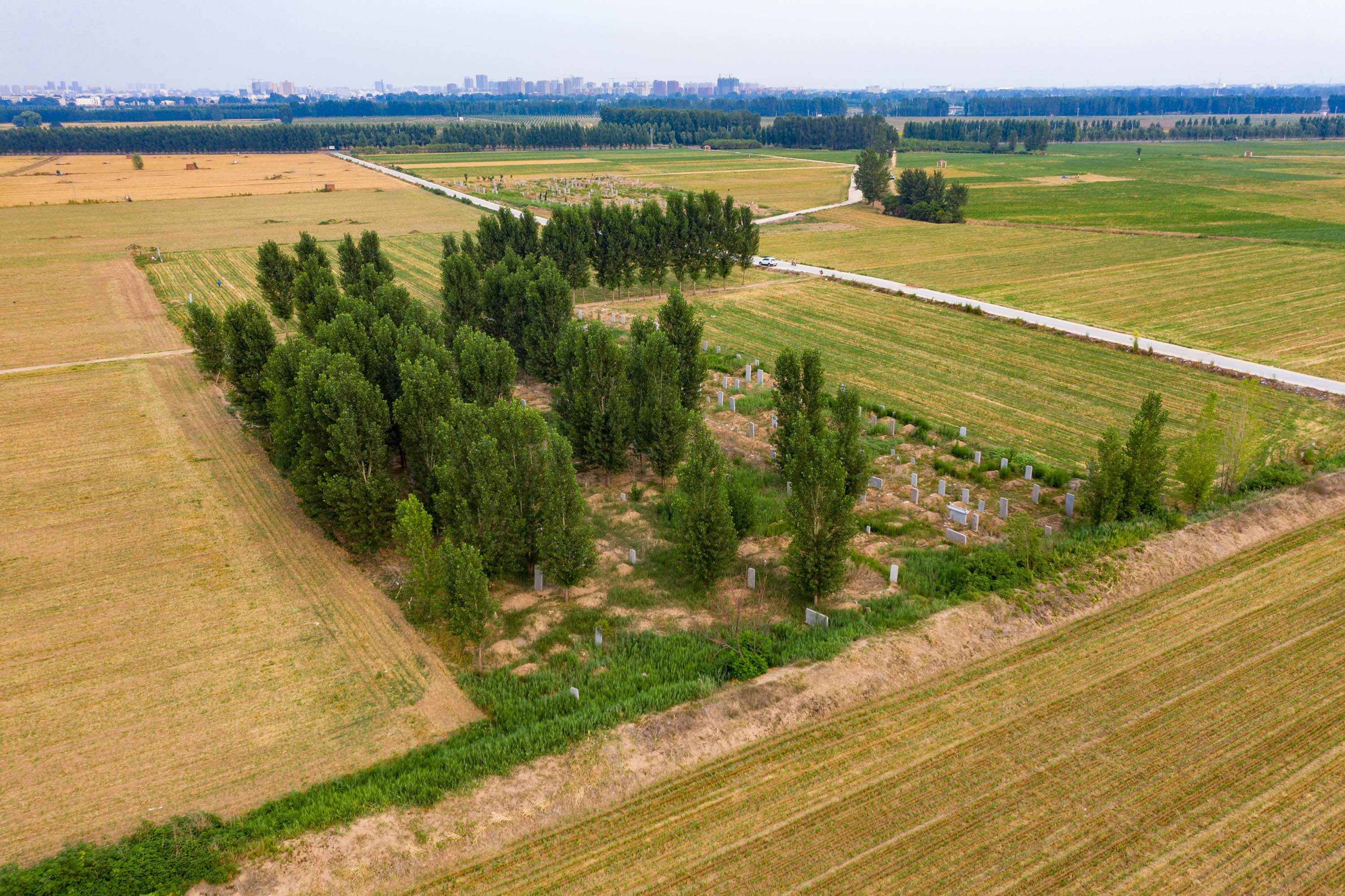 原创平原农村丧葬习俗,划公共墓地立碑气派,有远见的村庄却不这样做
