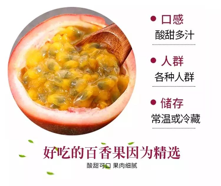 爆料河源这一大片葡萄林99元一斤开园大钜惠赶紧约起来