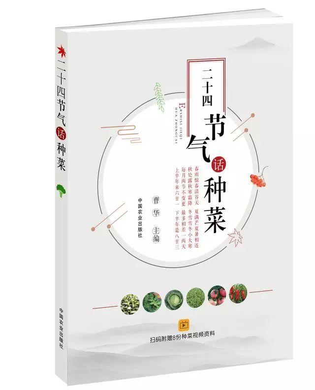 看節氣種蔬菜二十四節氣話種菜是你的超級工具書