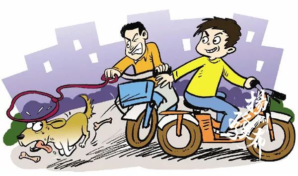 宝应两名男子利用毒药偷狗终被判刑