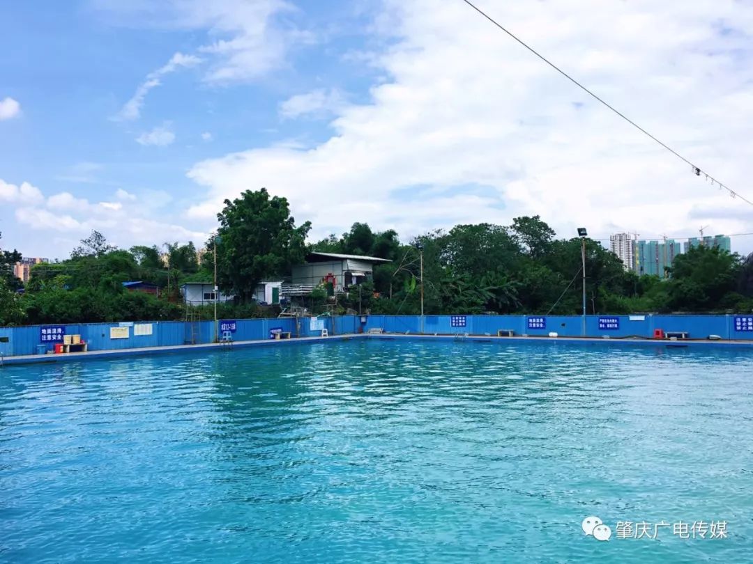 周末浪起来肇庆这些游泳圣地逐个打卡上
