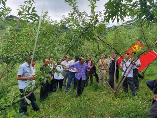 古藺縣白泥鄉:田間地頭講黨課 泥巴地上憶初心 _白泥村