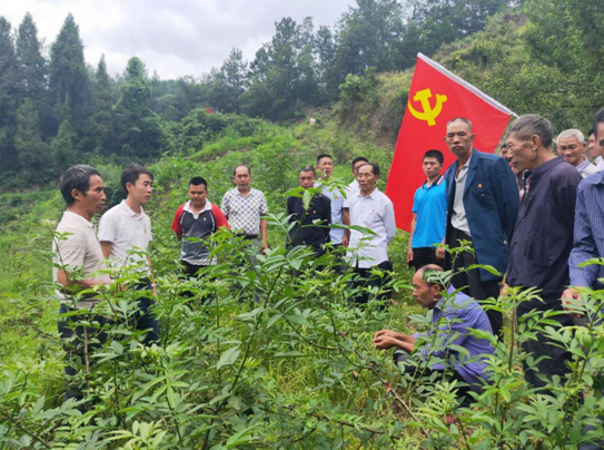 古藺縣白泥鄉:田間地頭講黨課 泥巴地上憶初心 _白泥村